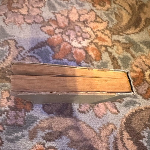 The Lady with the White Horse used book from 1923