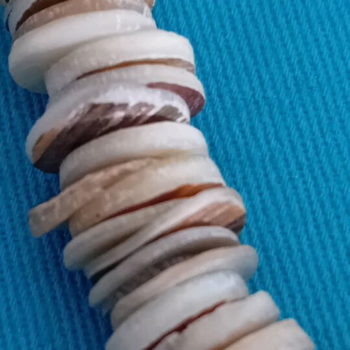 Vintage ostrich egg shell and shell necklace new, beige