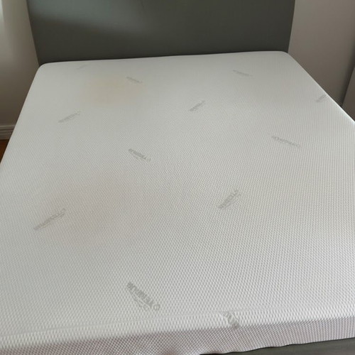 Eleni Natsi Solid Bed with Alcantara and TEMPUR Memory Foam Elite Mattress Like New