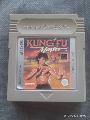 Nintendo Game Boy Kung Fu Master game with case and English manual