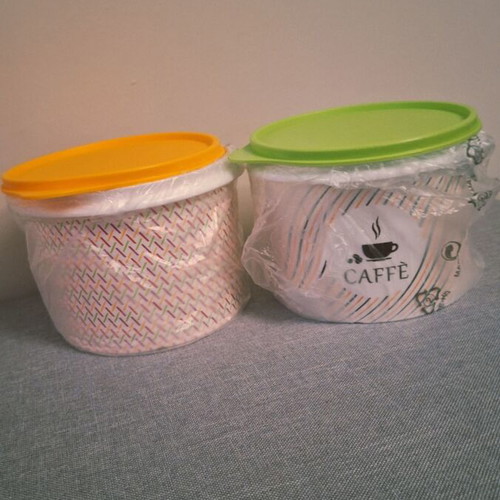 Tupperware 2 new containers with lids