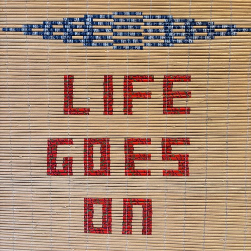 Life Goes On wall panel like new, bamboo