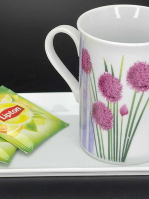 Coffee/Tea Mug Set with Collectible AGEAN Plate like new