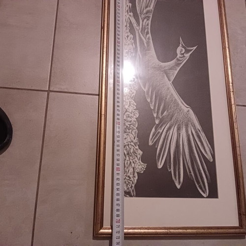 Vintage decorative framed art with classic bird theme, like new