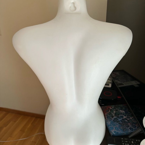 Plastic Display Bust Like New, White, 61 cm Height