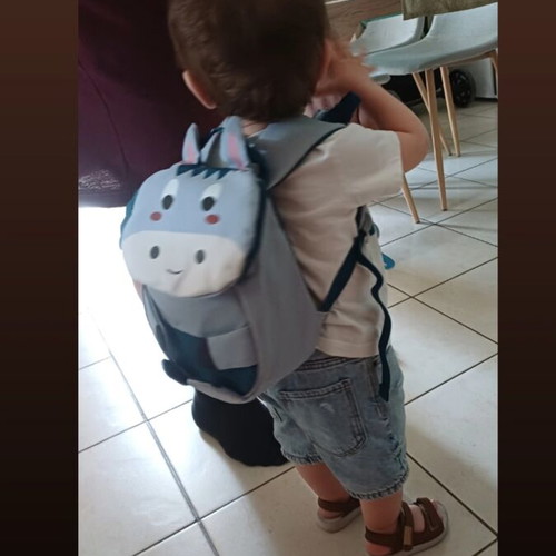Lupilu Kids Backpack with Donkey Design like new, gray and blue
