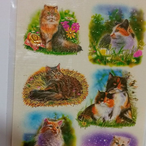 Vintage TEZ International Cat Stickers new, realistic designs