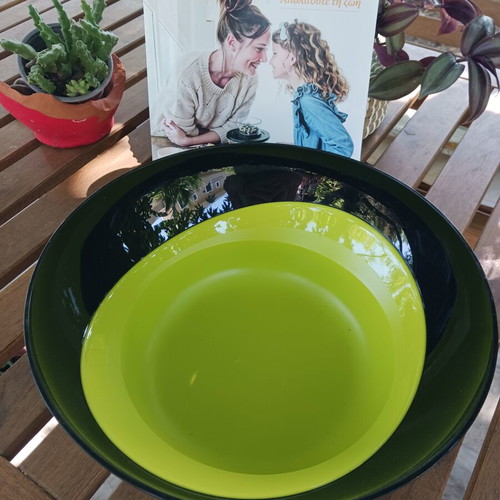 Tupperware Elegant 4.2L Salad Bowl, green and black