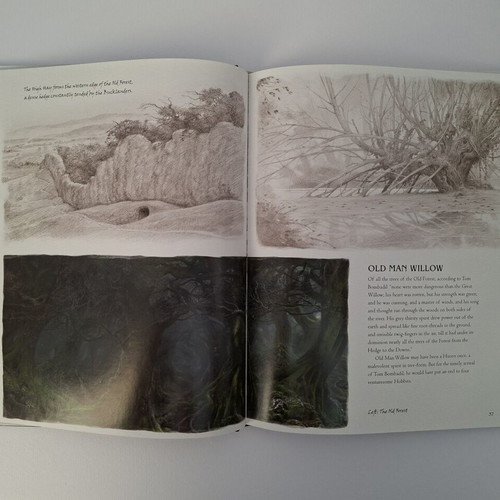 A Middle-earth Traveller Lord of the Rings book