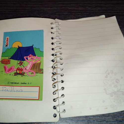 Small notebook used with creases and missing pages