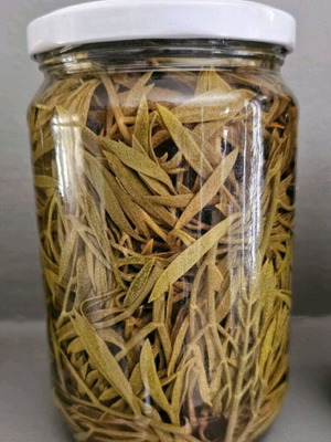 Jars of kritamo and wild asparagus new, harvest 2025
