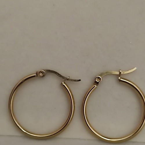 Gold stainless steel hoop earrings, Anna fine jewellery