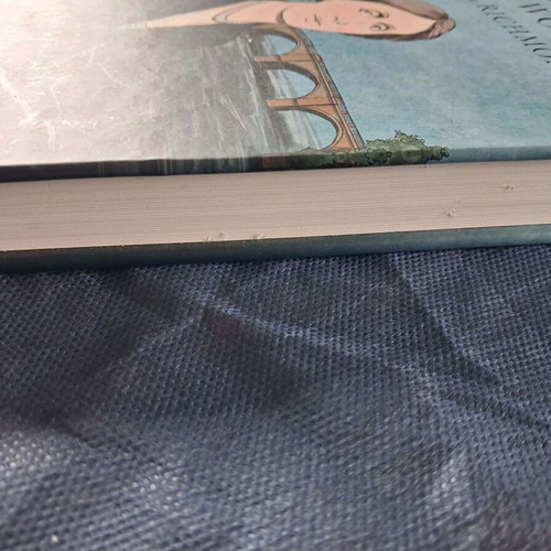 Book Virginia Woolf in Richmond like new, English edition