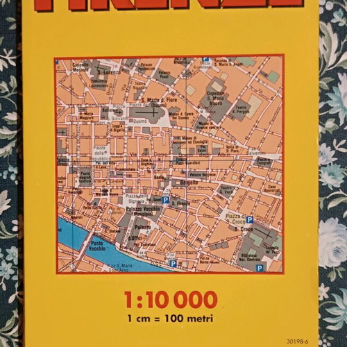 Vintage Florence map used, Italian language