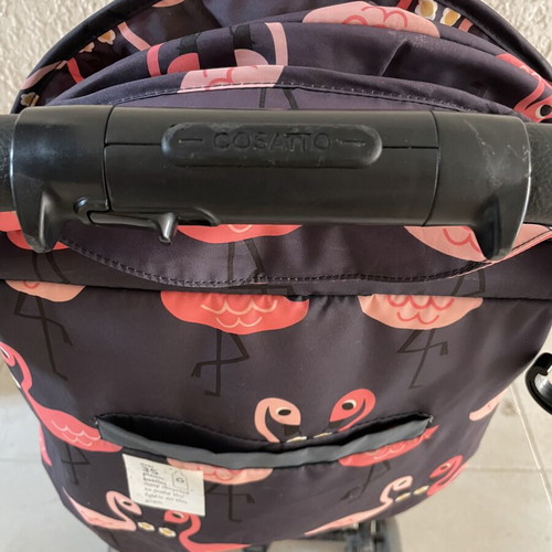 Cossato stroller used