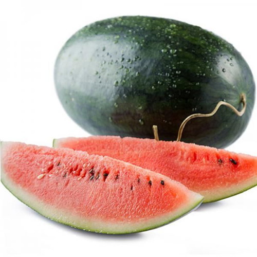 Black Diamond watermelon seeds, pack of 20, traditional variety