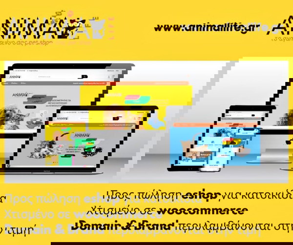 Νεοσυστατο eshop με domain & brand identity