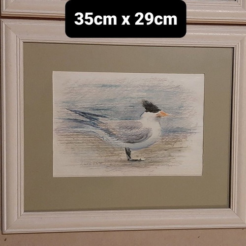 Bird paintings set of 2 new with wooden frames