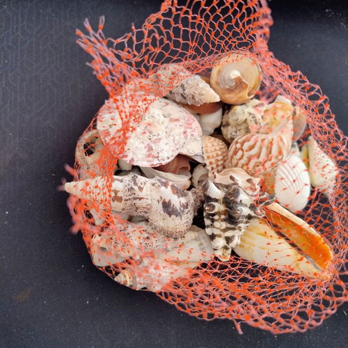 Dichtaki with seashells used