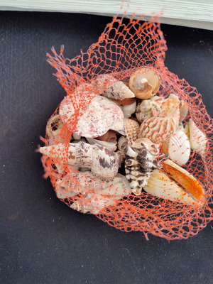 Dichtaki with seashells used