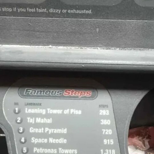 Star Trac Pro stepper new professional cardio machine
