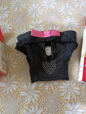 Dog panties new with Camon sanitary pads size S