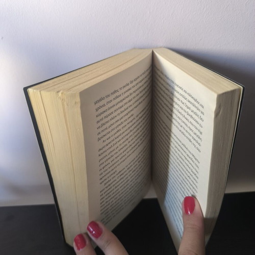 Camilla Lackberg The Frozen Princess book