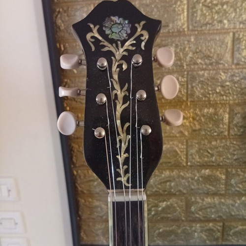 Trichordo Bouzouki like new with pickup