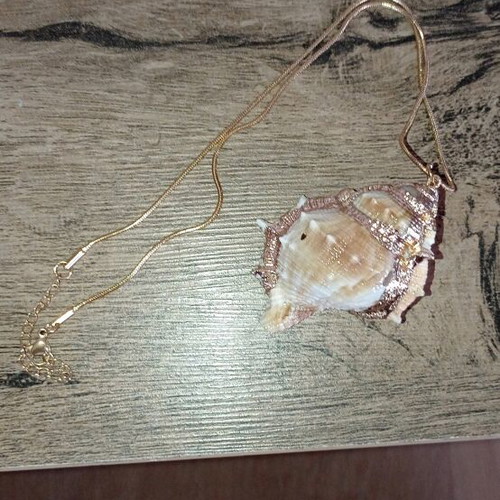 Necklace with shell*Final price