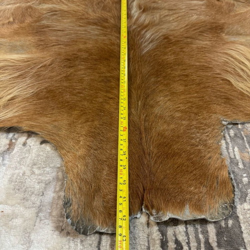 Leather goat rug used