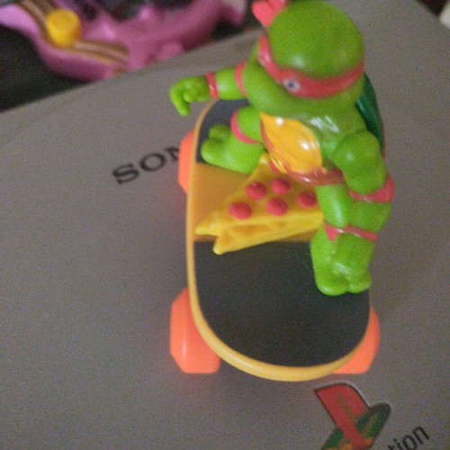 Turtlepower skate used
