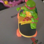 Turtlepower skate used