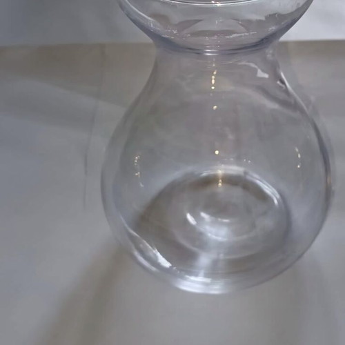 Glass vase for plant bulbs like new