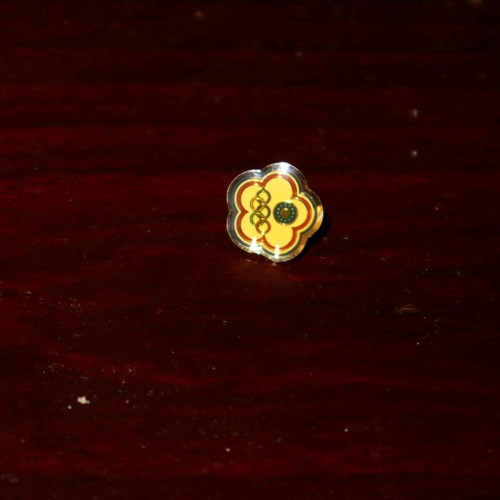 Collectible pin of Taiwan Olympic team new