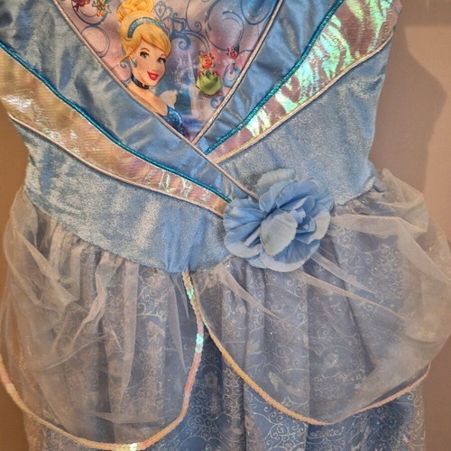 Princess Elsa girls dress 8 years 134cm used