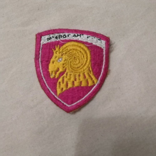 Sewn patch used, engineer corps army ground forces