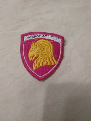 Sewn patch used, engineer corps army ground forces