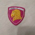 Sewn patch used, engineer corps army ground forces