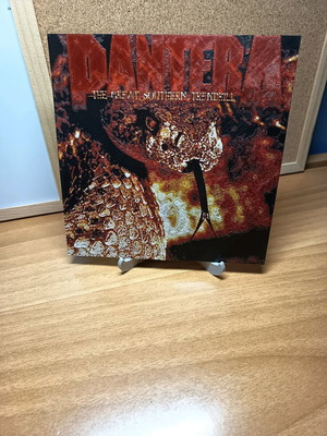 3D Printed Pantera The Great Southern Trendkill Wall Art new, handmade