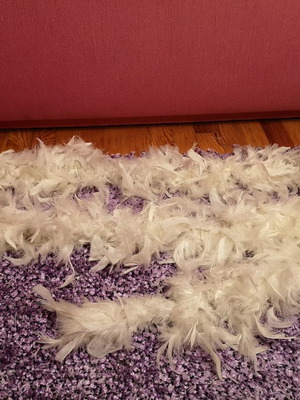 Decorative lights with feathers used, fully functional