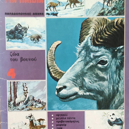 Children's book set about animals, pack of 6