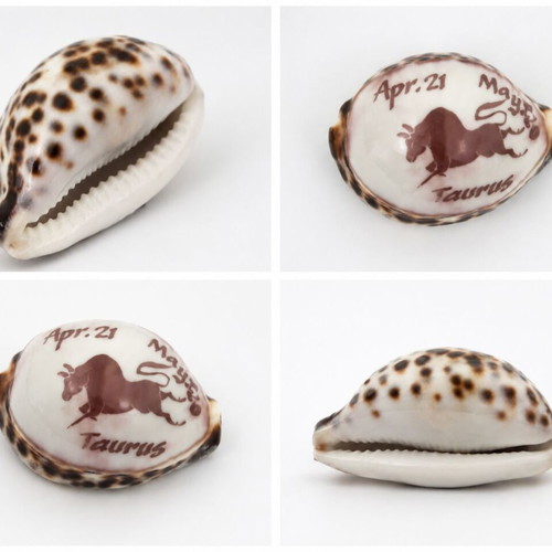 Decorative Taurus Shell with Zodiac Design like new