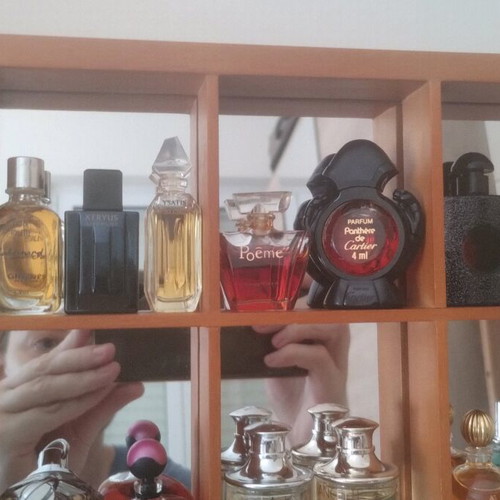 Miniature Perfumes Collection Like New With Handmade Display Cases