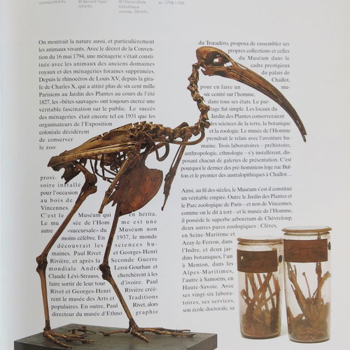 Beaux Arts magazine used for National Museum of Natural History 1994