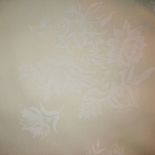 Tablecloth set new with 12 ivory cotton napkins