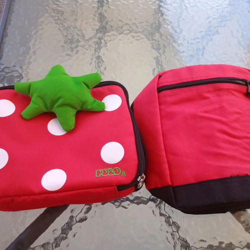 Insulated lunch bags set of 2, like new condition