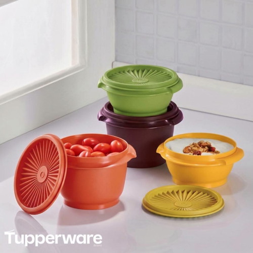 Tupperware vintage bowl set 4 pieces 340 ml ×2 800 ml ×2 new