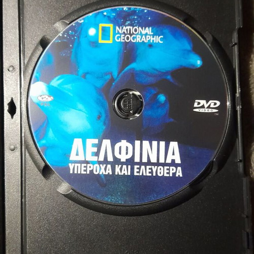 Dolphins DVD National Geographic like new, dubbed