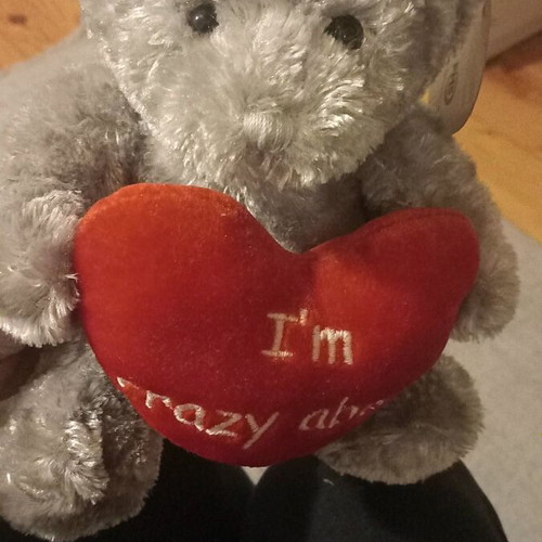 Teddy bear new, perfect for Valentine's Day
