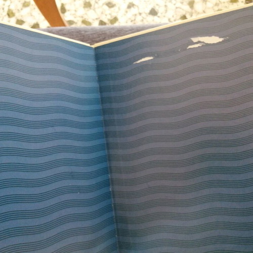 The Swan Lake Book used without CD
